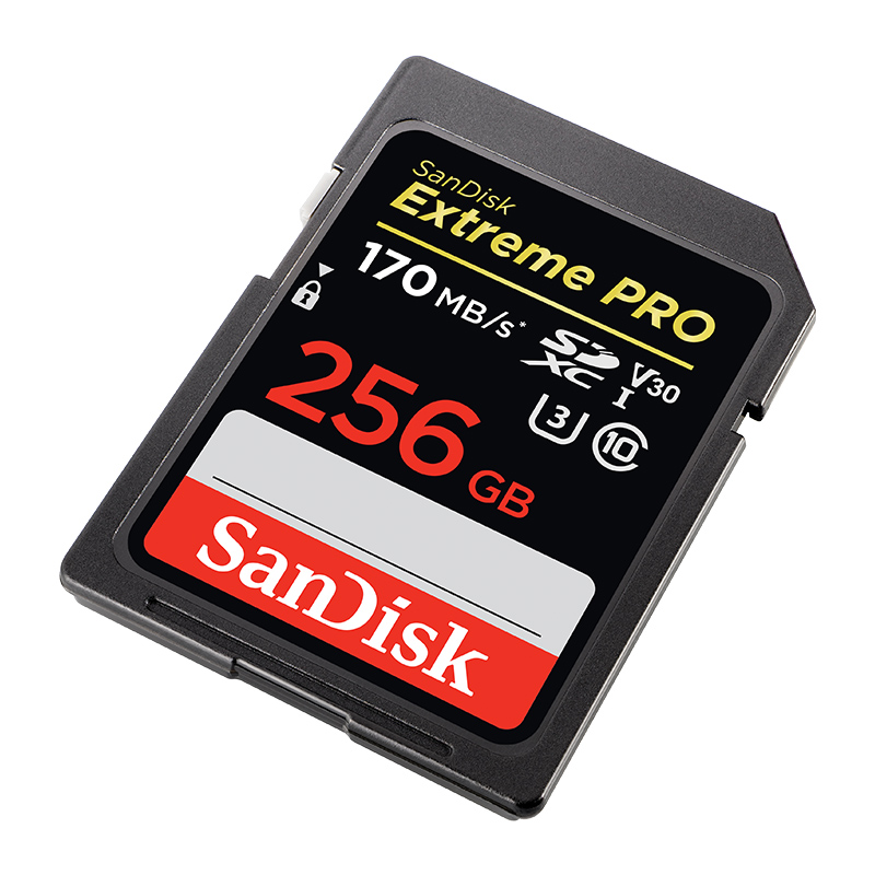 闪迪(SanDisk) 256GB SD存储卡 SDSDXXY-256G-ZN4IN